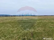 Teren de vanzare zona industriala Sura Mica 