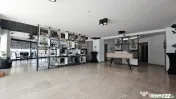 Comercial Premium | Showroom | Ultracentral | Corneliu Copos 