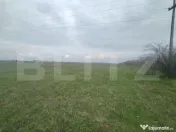 Teren intravilan, Centura de Nord, 2.1 ha, deschidere 41m 