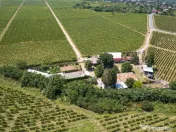 Cramă complet funcțională in inima Podgoriei Odobești 