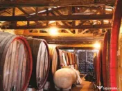 Cramă complet funcțională in inima Podgoriei Odobești 