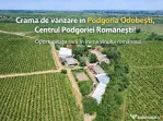 Cramă complet funcțională in inima Podgoriei Odobești