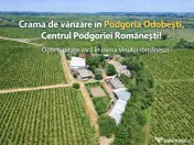 Cramă complet funcțională in inima Podgoriei Odobești 