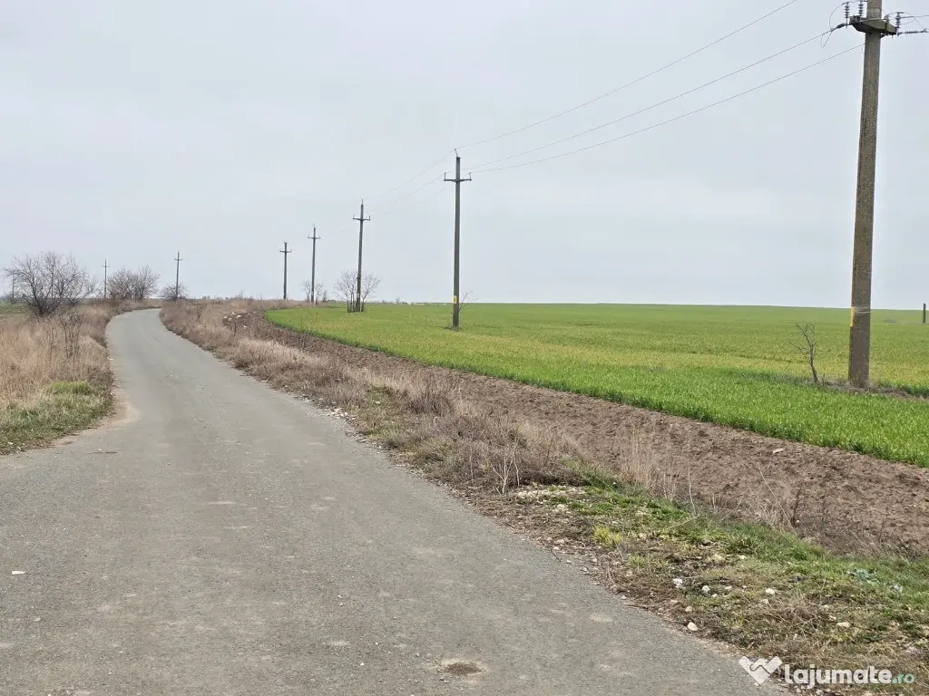 Teren de vanzare in Tuzla zona lac sarat Techirghiol