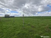 Teren de vanzare in Lazu, Cartierul Nou - 400 mp 