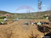 Vânzare teren intravilan 1,200mp Oradea, zona Doja - Han... 