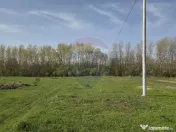 Teren intravilan de vanzare 500 mp, com Domnesti/Teghes 