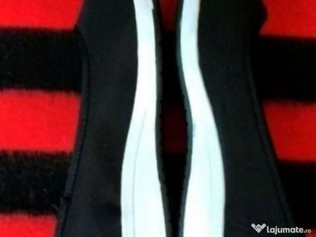 balerini dama noi 39