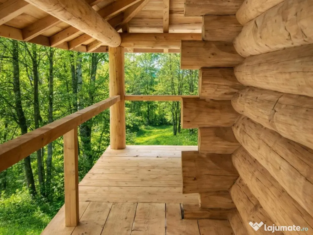 3.000mp de incantare montana cu cabana din lemn masiv, Zarne