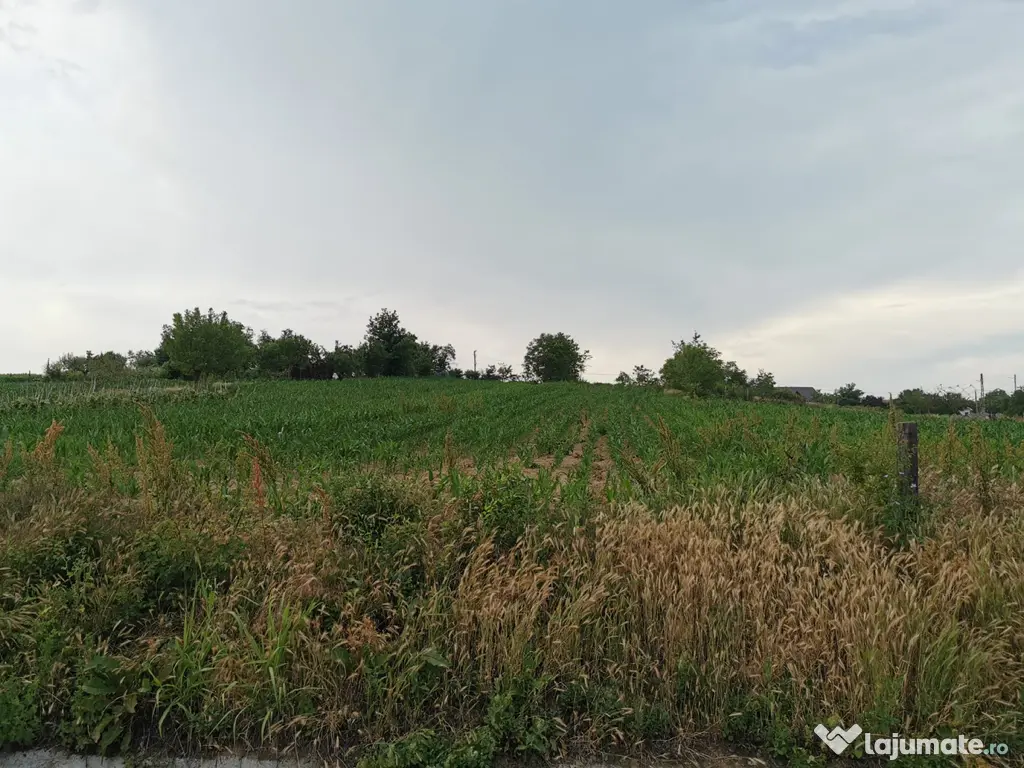 Vand teren 2800 mp in Soparlita, Olt