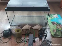 Acvariu plus Accesorii