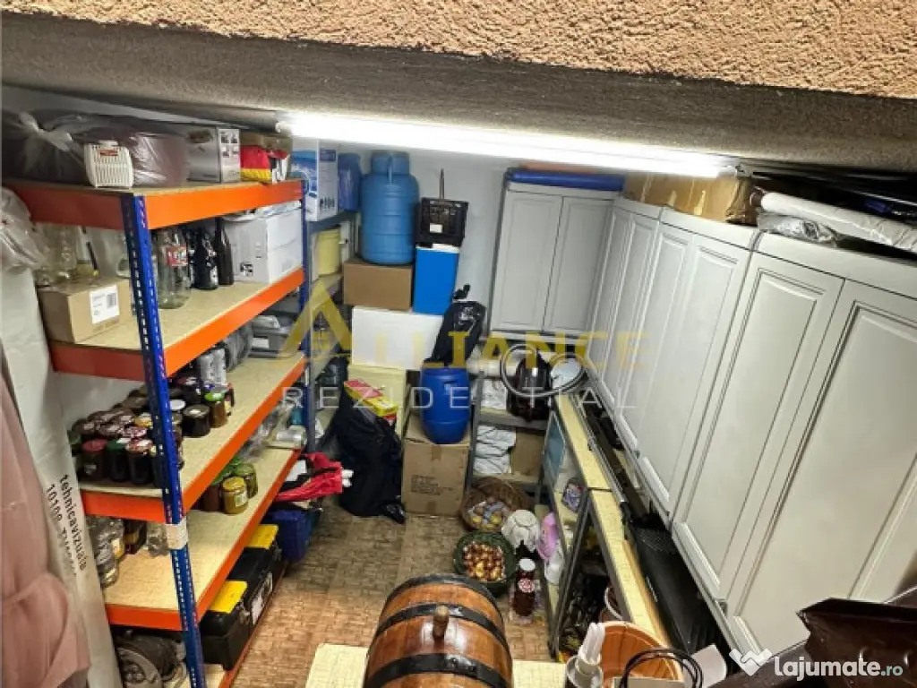 Sector 4 Nitu Vasile Casa Individala