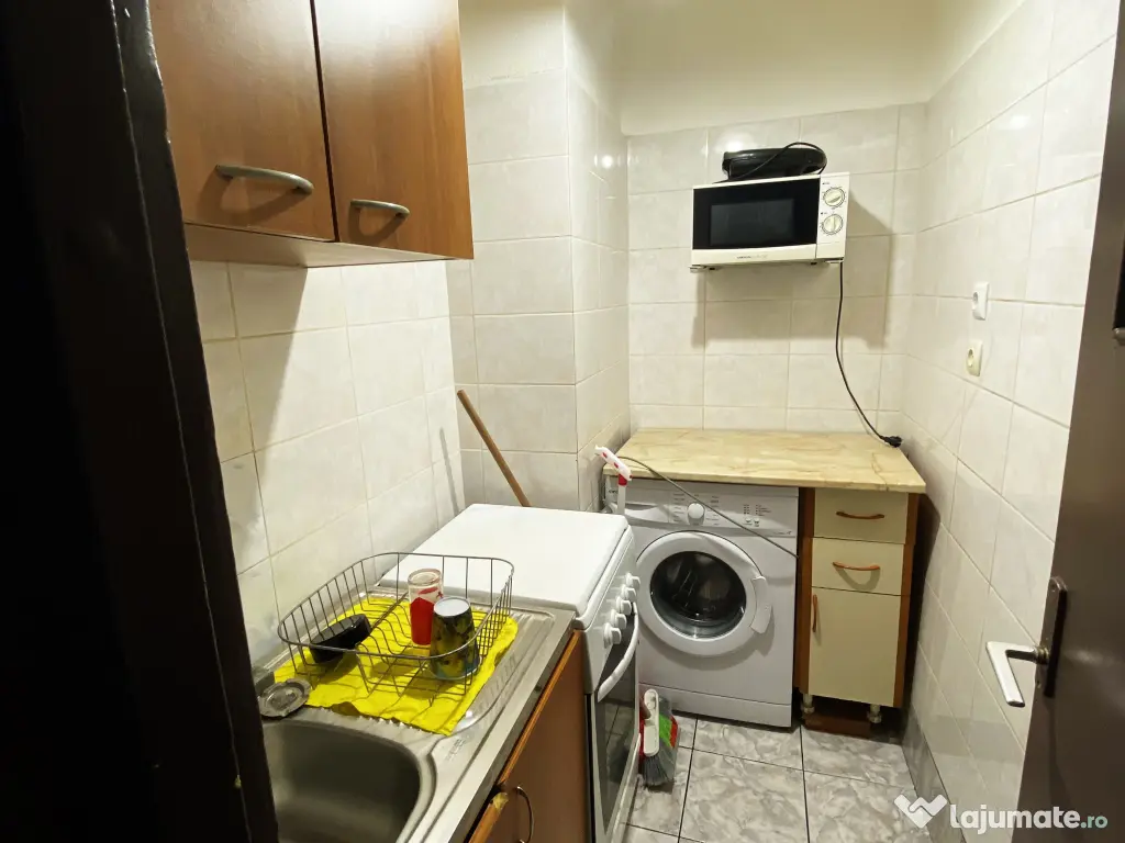 Garsoniera de inchiriat, proprietar