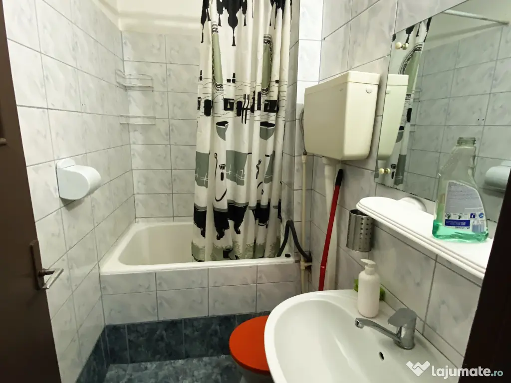 Garsoniera de inchiriat, proprietar