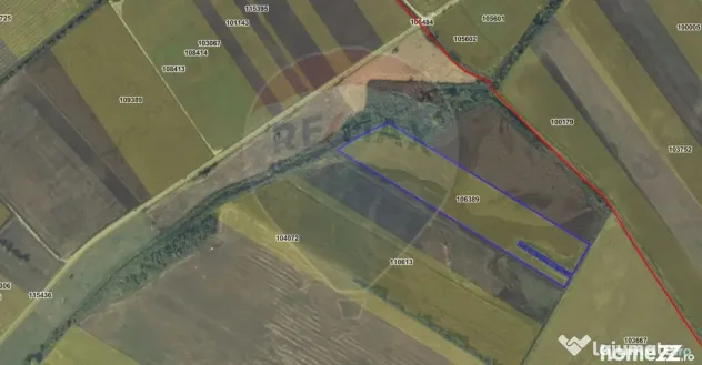 Teren 4 ha pretabil pentru irigații Codlea / DJ 112A