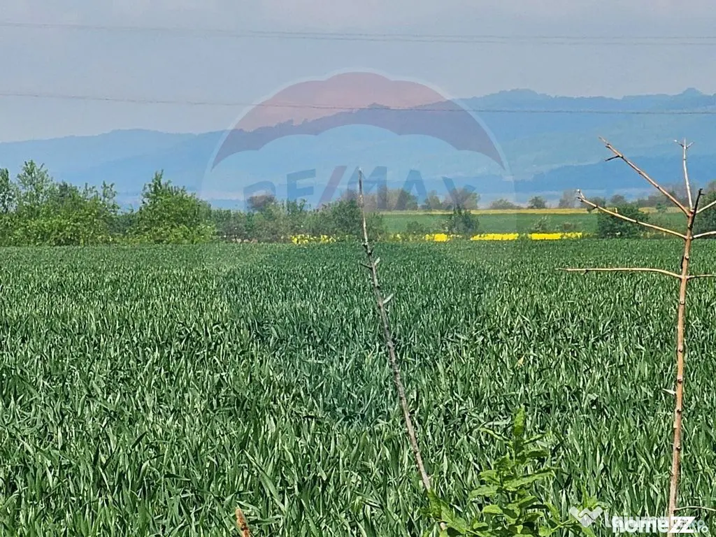 Teren 4 ha pretabil pentru irigații Codlea / DJ 112A