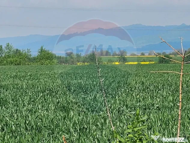 Teren 4 ha pretabil pentru irigații Codlea / DJ 112A