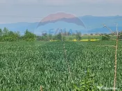 Teren 40,000mp irigabil Codlea / DJ 112A 