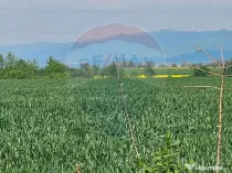 Teren 40,000mp irigabil Codlea / DJ 112A