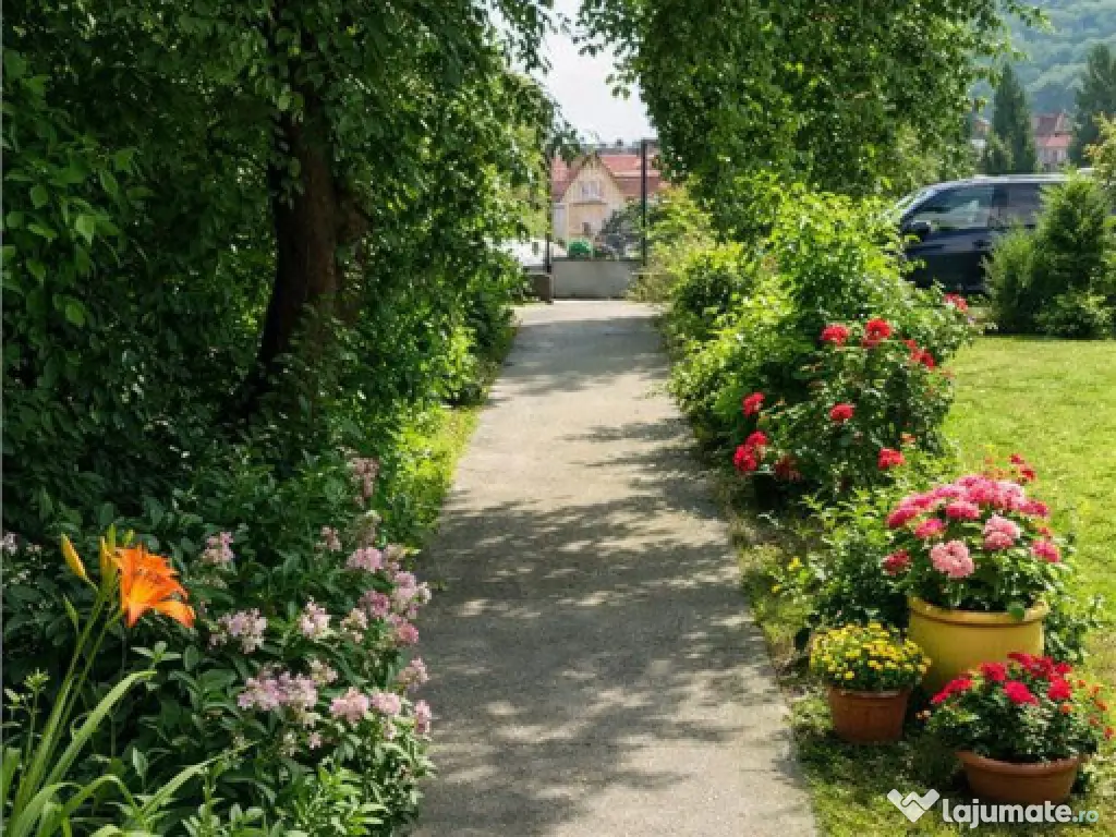 Vila Centru Istoric, Brasov: recomandata si pentru clinica