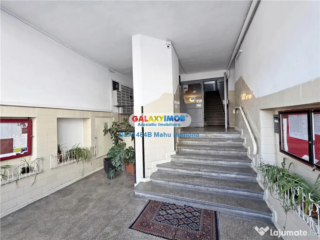 Garsoniera spatioasa, luminoasa, Ion Mihalache, Ion Neculce