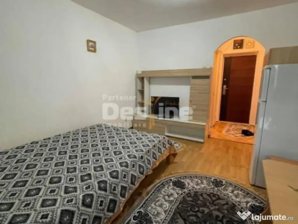 Garsoniera, Alexandru cel Bun 24 mp, etaj 2