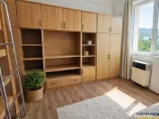 Garsoniera luminoasa cu bucatarie utilata si baie cu cada 