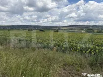 Teren intravilan in localitatea Bobota in suprafata de 11500