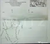 TEREN zona aer curat CASA si ANEXA SCORTENI/PH 