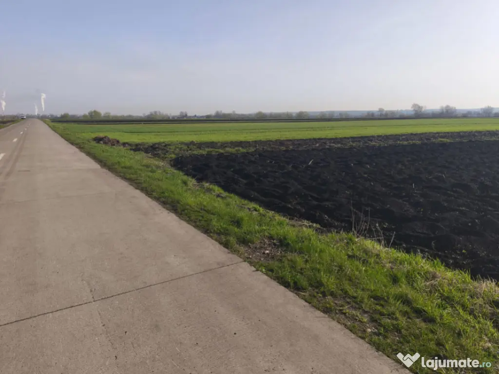 Teren extravilan, 9300mp, 55ml deschidere la drum, Satu Mare