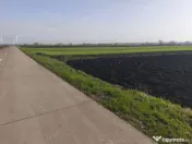 Teren extravilan, 9300mp, 55ml deschidere la drum, Satu Mare 