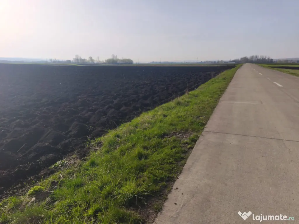 Teren extravilan, 9300mp, 55ml deschidere la drum, Satu Mare