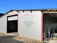 Hală Industrială, Parcul Industrial Borș 2, De Vânzare 