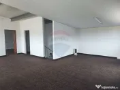 Hală Industrială, Parcul Industrial Borș 2, De Vânzare 