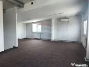 Hală Industrială, Parcul Industrial Borș 2, De Vânzare