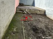 Casa la sol de vanzare - strada Deltei ! 