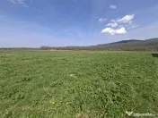 Teren extravilan de Talmaciu 