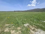 Teren extravilan de Talmaciu 