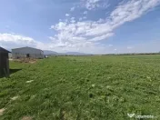 Teren extravilan de Talmaciu 