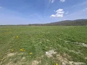 Teren extravilan de Talmaciu 