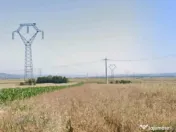 Teren Agricol 9800 mp Fratoștița, front 40 m 