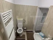 Oază de liniște în inima naturii – casă de vacanță s 