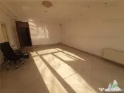 Tineretului-vila individuala aproape de metrou si parc --po 