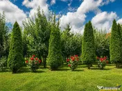 Pretios teren intravilan 1.409 mp, livada, utilitati,reziden 