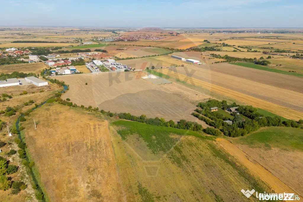 Teren 20.000 mp Arad. Ideal pentru mica industrie, servic... - Arad (Arad)