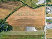 Teren 20.000 mp Arad. Ideal pentru mica industrie, servic... 