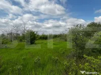 Teren intravilan 990 mp, front 33 ml, zona platou Cârcea 