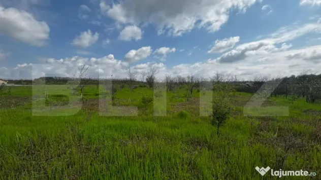 Teren intravilan 990 mp, front 33 ml, zona platou Cârcea