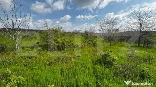 Teren intravilan 990 mp, front 33 ml, zona platou Cârcea