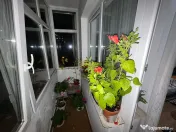 Apartament 3 camere - Podul de Piatră 